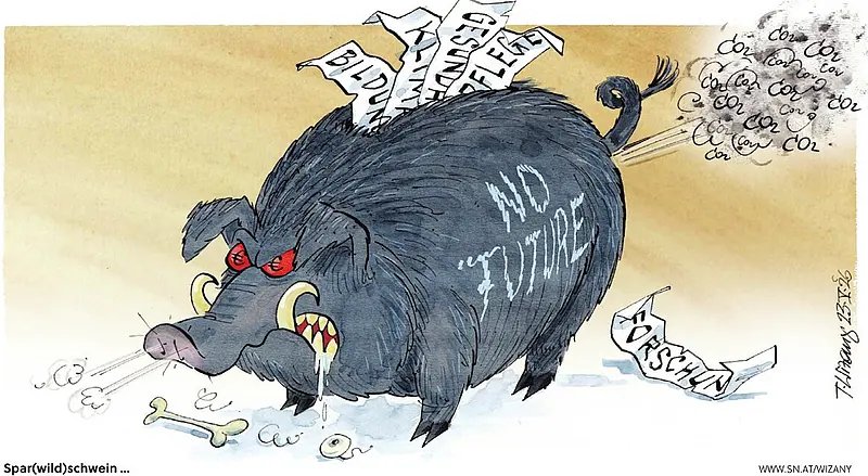 Spar(wild)schwein ...