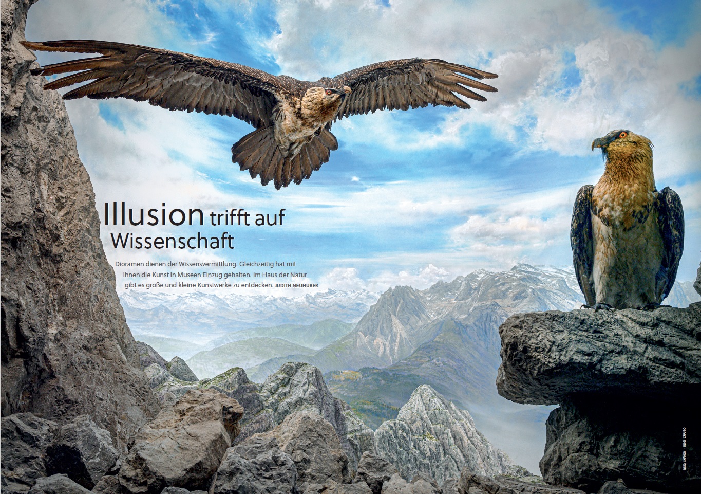 Einblick-ins-Magazin-2